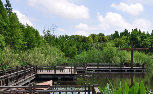 上海浦東濱海森林公(gōng)園拓展基地